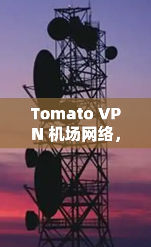 Tomato VPN 机场网络，你的旅行新捷