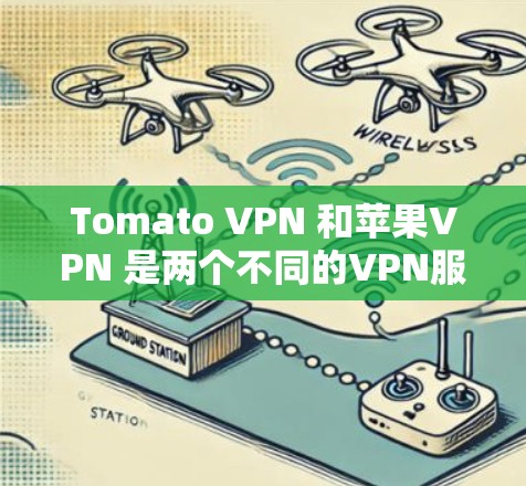 Tomato VPN 和苹果VPN 是两个不同的VPN服务，它们各自的特点和适用场景有所不同。以下是对它们的详细介绍和比较