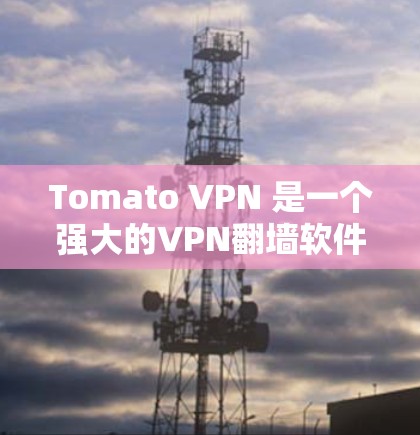 Tomato VPN 是一个强大的VPN<strong>翻墙软件</strong>，适合需要VPN连接到本地网的用户。以下是对 Tomato VPN 的详细分析和建议