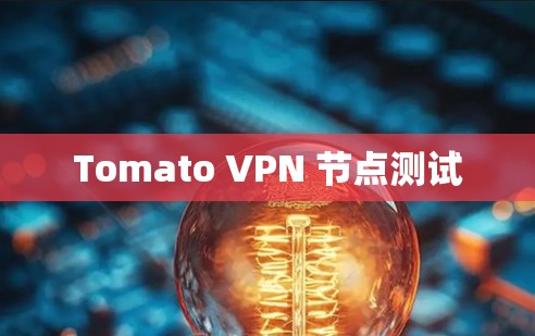 Tomato VPN 节点测试