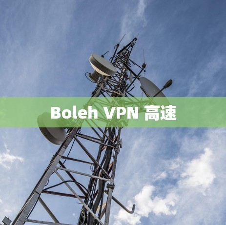 Boleh VPN 高速