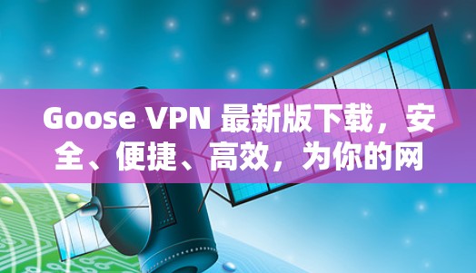 Goose VPN 最新版下载，安全、便捷、高效，为你的网络保驾护航