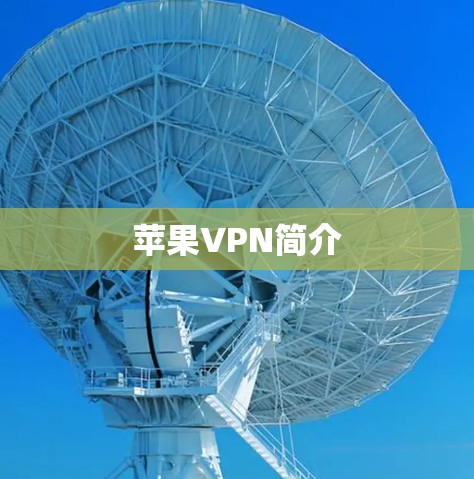 苹果VPN简介