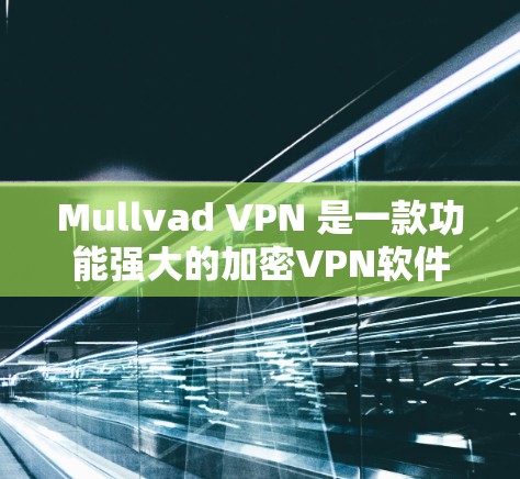 Mullvad VPN 是一款功能强大的加密VPN软件，适合个人用户和企业用户使用。以下是对Mullvad VPN的评测