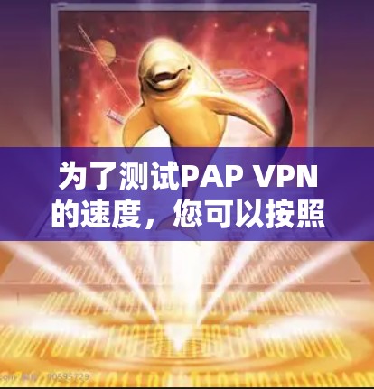 为了测试PAP VPN的速度，您可以按照以下步骤操作