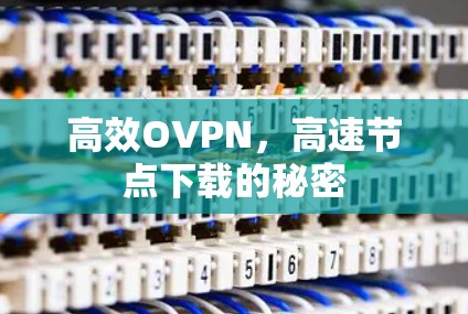 高效OVPN，高速节点下载的秘密
