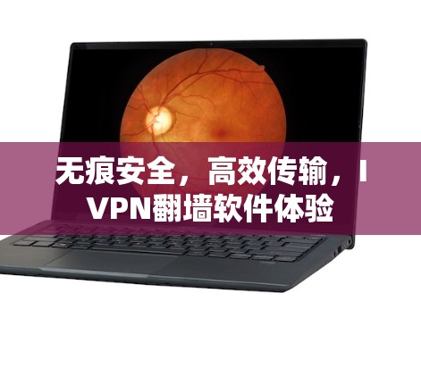 无痕安全，高效传输，IVPN<strong>翻墙软件</strong>体验