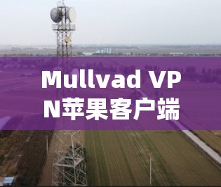 Mullvad VPN苹果客户端，安全可靠，轻松连接
