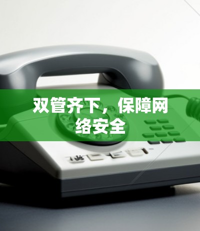 双管齐下，保障网络安全