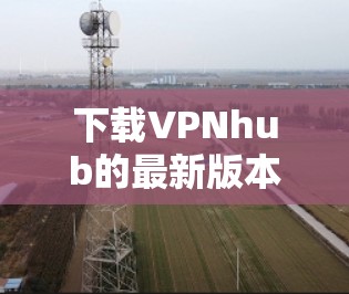 下载VPNhub的最新版本步骤如下 下载VPNhub的最新版本步骤如下