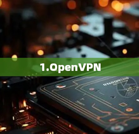 1.OpenVPN