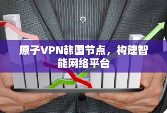 原子VPN韩国节点，构建智能网络平台