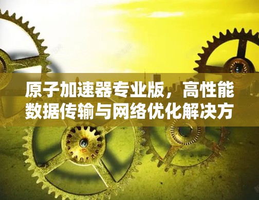 原子加速器专业版，高性能数据传输与网络优化解决方案