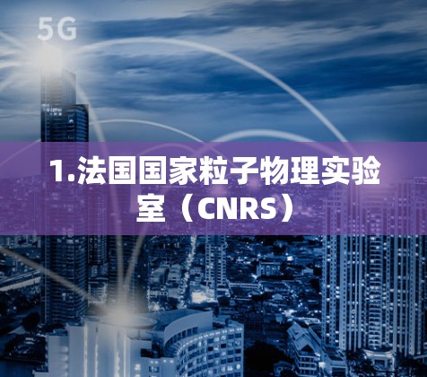 1.法国国家粒子物理实验室（CNRS）