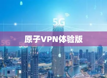 原子VPN体验版
