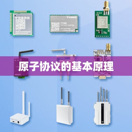 原子协议的基本原理