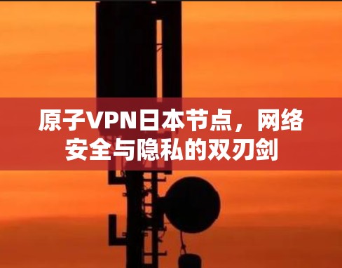 原子VPN日本节点，网络安全与隐私的双刃剑