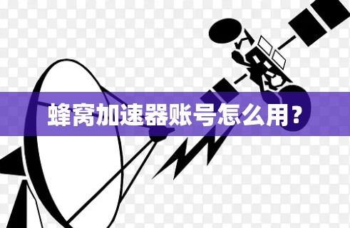蜂窝加速器账号怎么用？