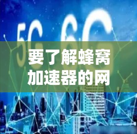 要了解蜂窝加速器的网络代理功能，可以按照以下步骤进行