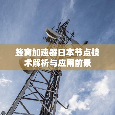 蜂窝加速器日本节点技术解析与应用前景