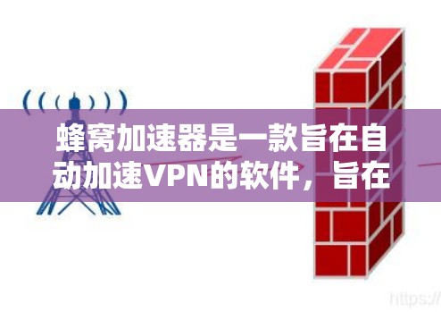 蜂窝加速器是一款旨在自动加速VPN的软件，旨在提高用户在网络环境中的连接速度和稳定性。以下是关于蜂窝加速器的详细信息