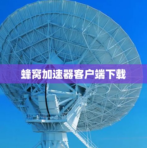 蜂窝加速器客户端下载