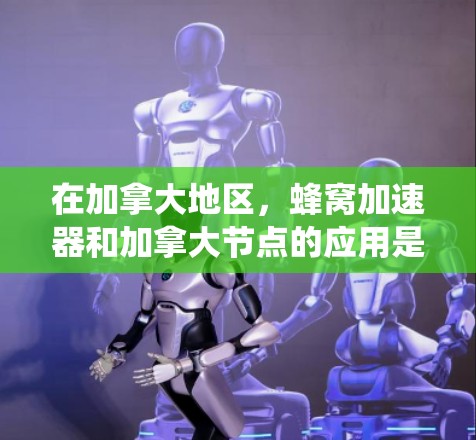 在加拿大地区，蜂窝加速器和加拿大节点的应用是一个复杂且重要的议题。以下是一个系统性的总结，涵盖各个关键点，帮助您全面了解蜂窝加速器在加拿大地区的使用情况