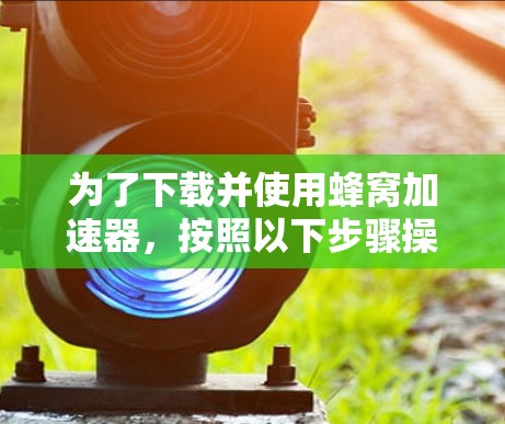 为了下载并使用蜂窝加速器，按照以下步骤操作