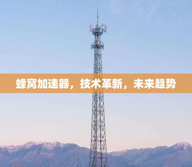 蜂窝加速器，技术革新，未来趋势