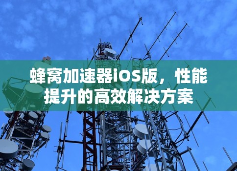 蜂窝加速器iOS版，性能提升的高效解决方案