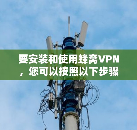 要安装和使用蜂窝VPN，您可以按照以下步骤操作
