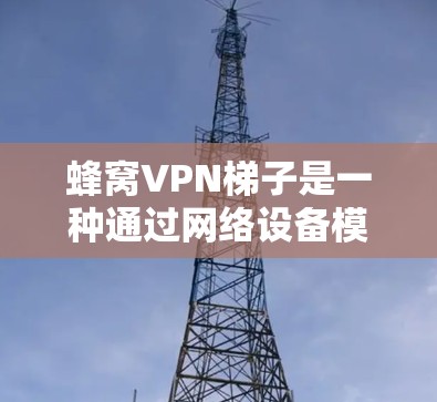 蜂窝VPN梯子是一种通过网络设备模拟蜂窝网络的工具，用于在本地计算机上安装和管理蜂窝网络。以下是使用蜂窝VPN梯子的步骤