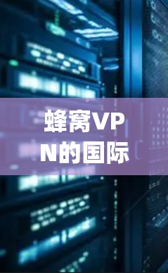 蜂窝VPN的国际数据服务主要针对互联网和移动数据，提供了USSP（User-Session Session-Preserving）协议，允许用户使用流量绕过防火墙。以下是其主要特点和数据服务