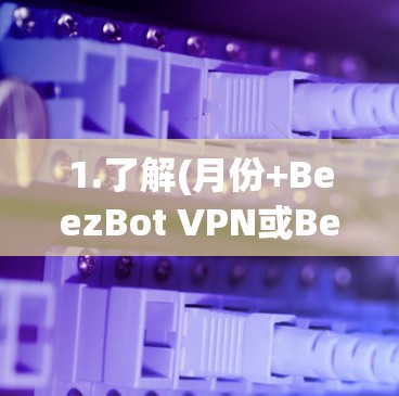 1.了解(月份+BeezBot VPN或BeezBot)