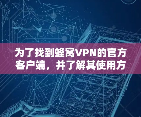 为了找到蜂窝VPN的官方客户端，并了解其使用方法和安全措施，您可以按照以下步骤操作