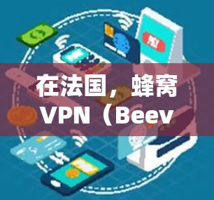 在法国，蜂窝VPN（Beevo VPN）是一种通过Beevo提供的VPN服务来实现网络安全和远程办公的工具。Beevo VPN允许用户通过互联网访问本地服务器，从而隔离内部网络，保护用户数据的安全